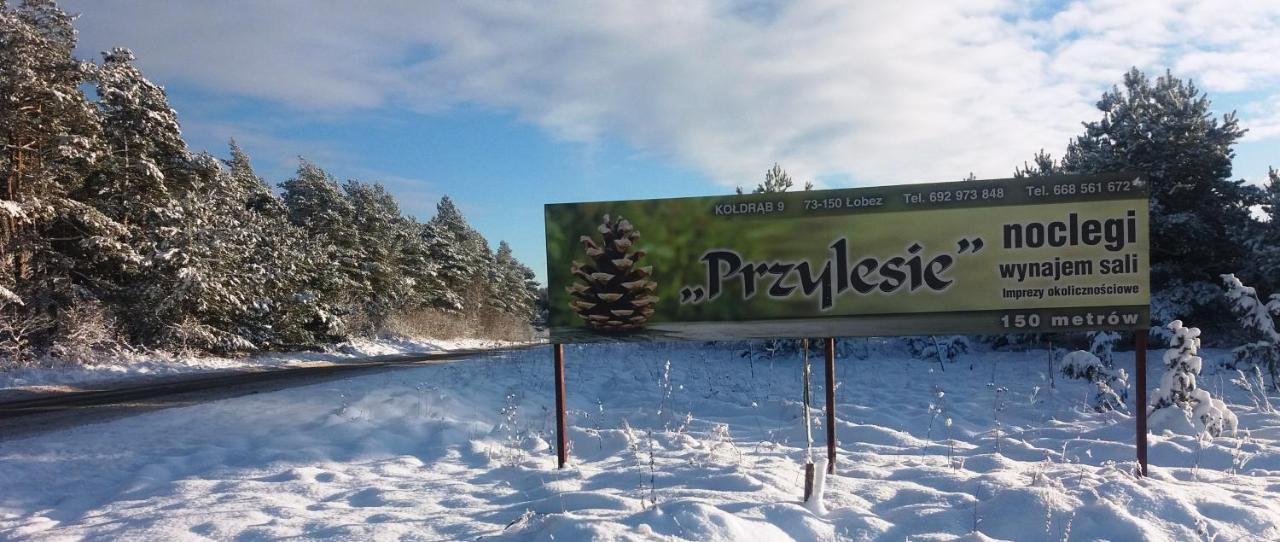 Pokoje Goscinne Przylesie Lobez Exterior photo